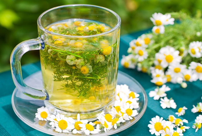 chamomile-benefits-feat.jpg chamomile-benefits-feat.jpg
